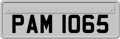 PAM1065