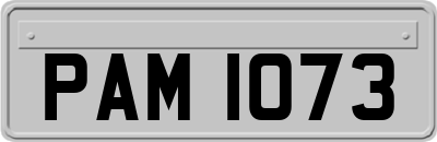 PAM1073