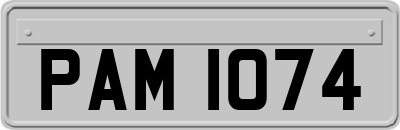 PAM1074