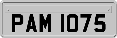 PAM1075