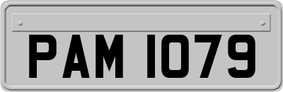PAM1079