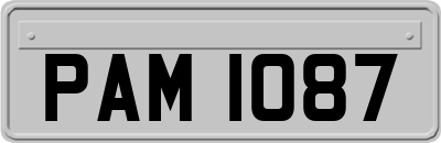 PAM1087