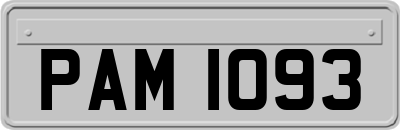 PAM1093