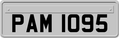 PAM1095