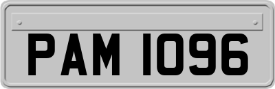 PAM1096