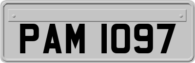 PAM1097