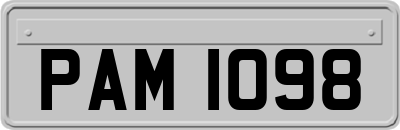 PAM1098
