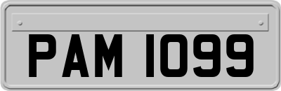 PAM1099