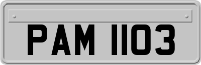 PAM1103