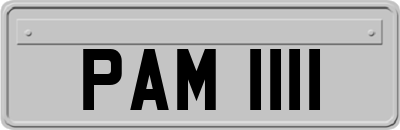PAM1111
