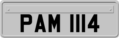 PAM1114