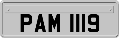 PAM1119