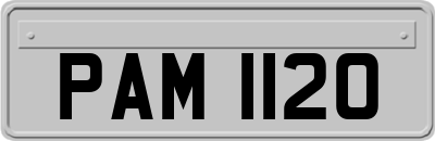 PAM1120