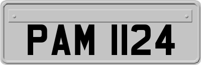 PAM1124