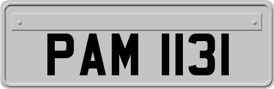 PAM1131