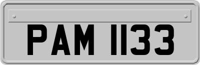 PAM1133