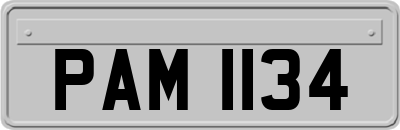 PAM1134