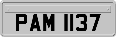 PAM1137
