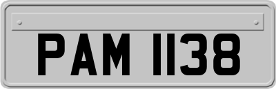 PAM1138