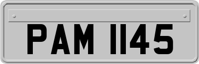 PAM1145