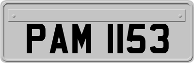 PAM1153