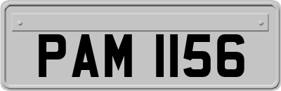 PAM1156