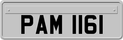 PAM1161