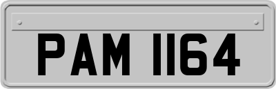 PAM1164