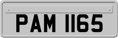PAM1165