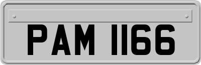 PAM1166