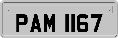 PAM1167