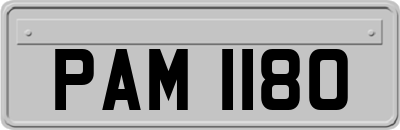 PAM1180