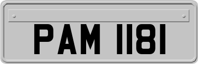 PAM1181