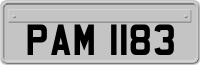 PAM1183