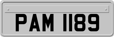 PAM1189
