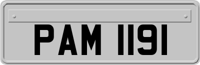 PAM1191