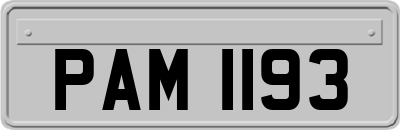 PAM1193