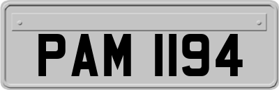 PAM1194