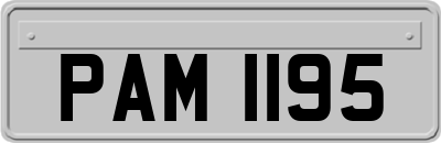 PAM1195