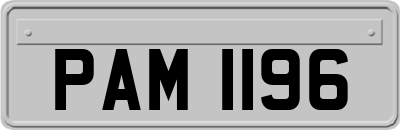 PAM1196