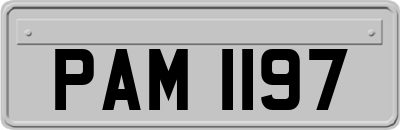 PAM1197