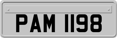 PAM1198