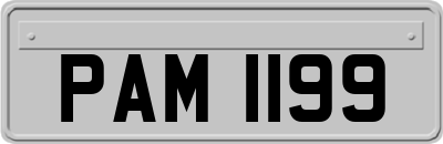 PAM1199