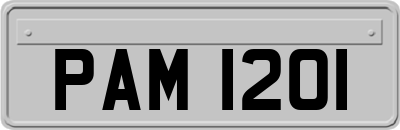 PAM1201
