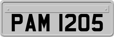 PAM1205