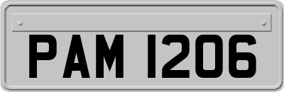 PAM1206
