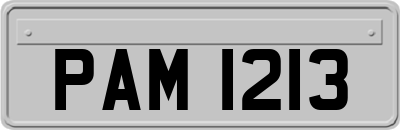 PAM1213