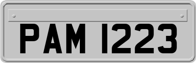 PAM1223