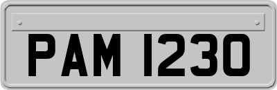 PAM1230