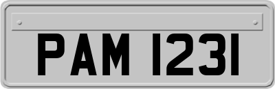 PAM1231